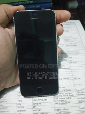 Apple iPhone 5s 32 GB Black