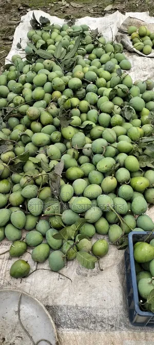 তিন থেকে চার টা তে কেজি।