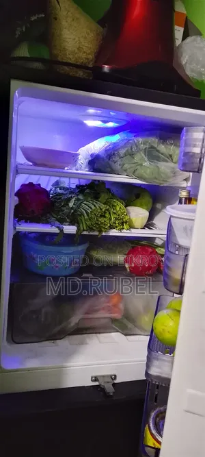 Fridge is in brand new condition