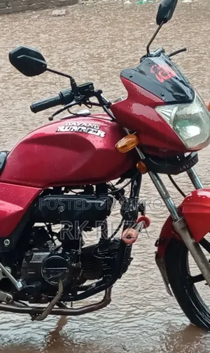 দায়াং ডিওয়াই ১১০-১৫এম ২০১০ লাল