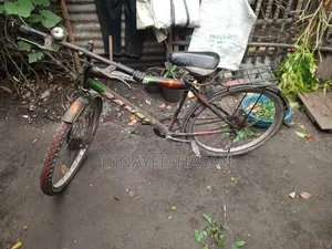 Bicycle Non-Gear