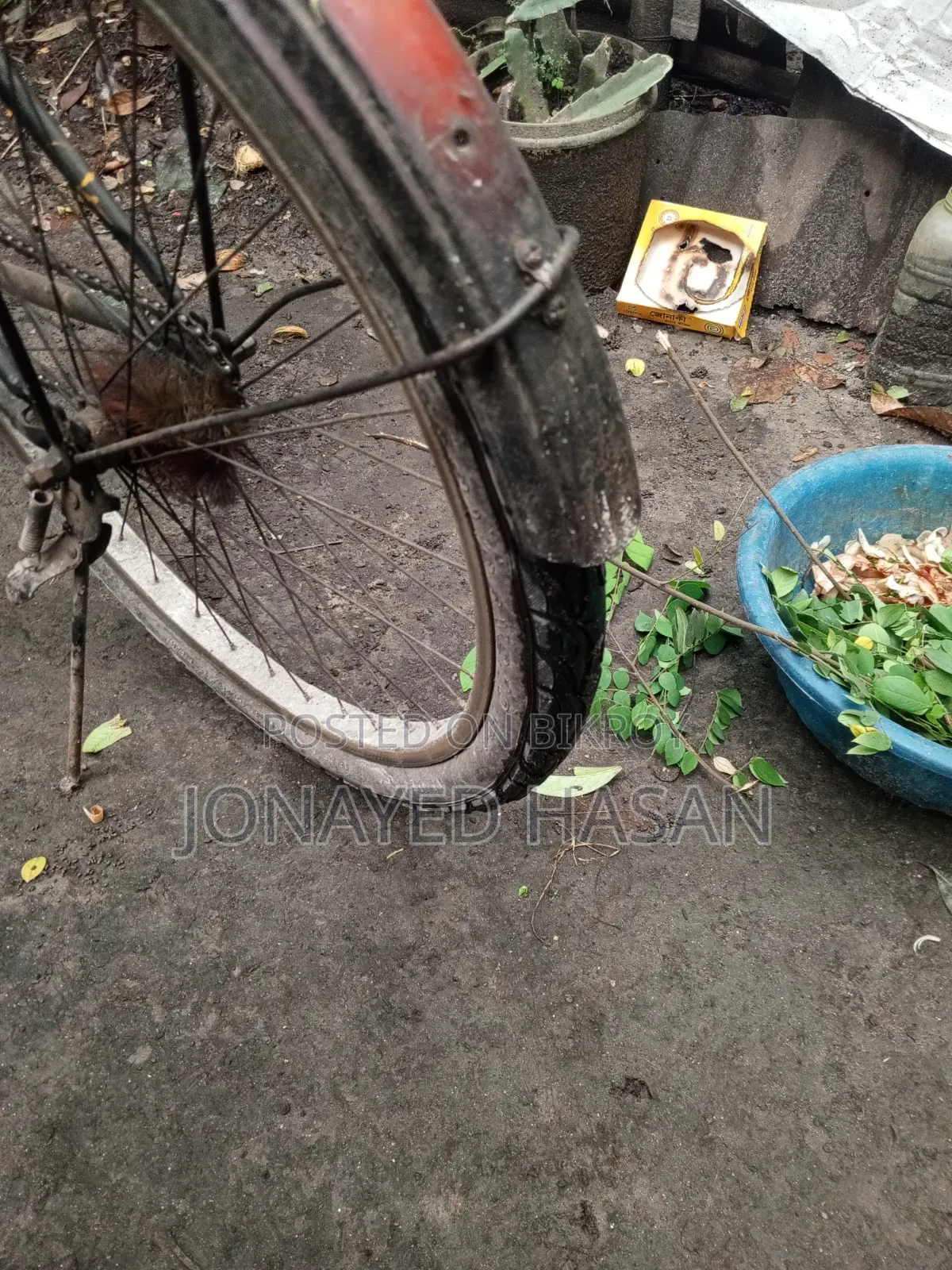 Bicycle Non-Gear