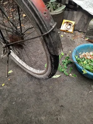 Bicycle Non-Gear