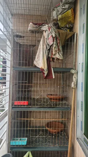 Pigeon Cage 4 tiers
