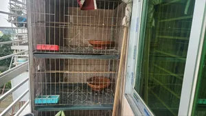 Pigeon Cage 4 tiers