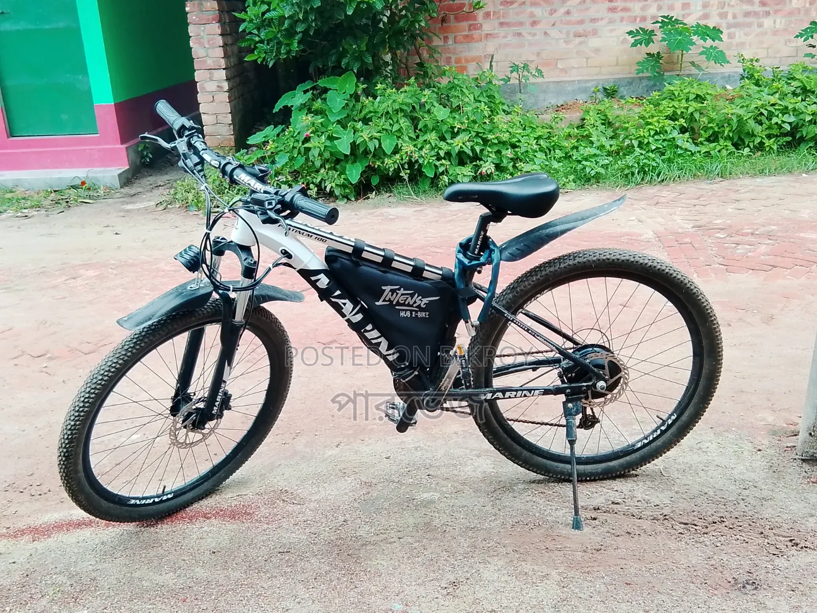 ইলেকট্রিক বাইসাইকেল