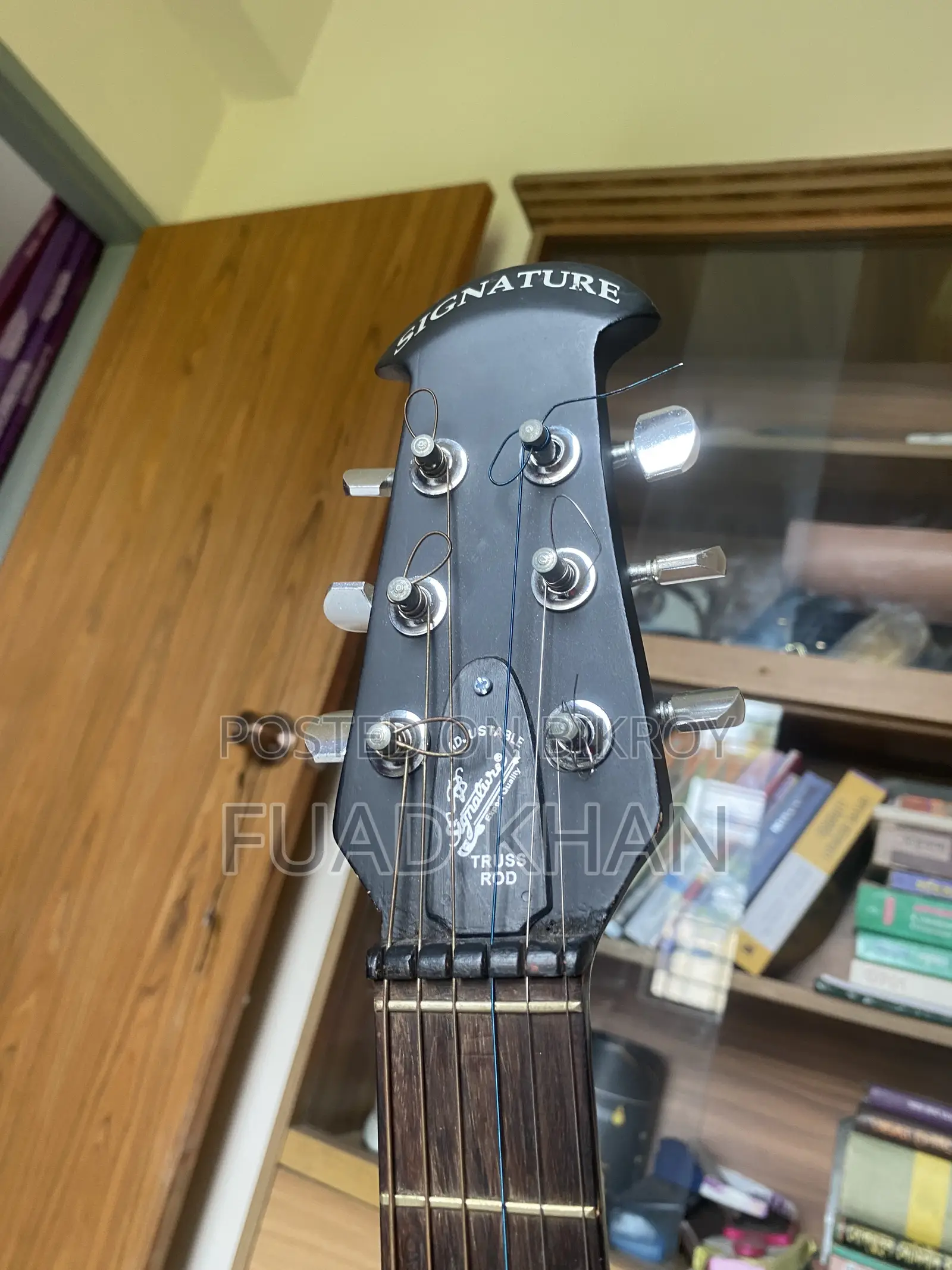Signature Guitar