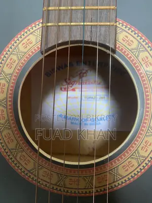 Signature Guitar