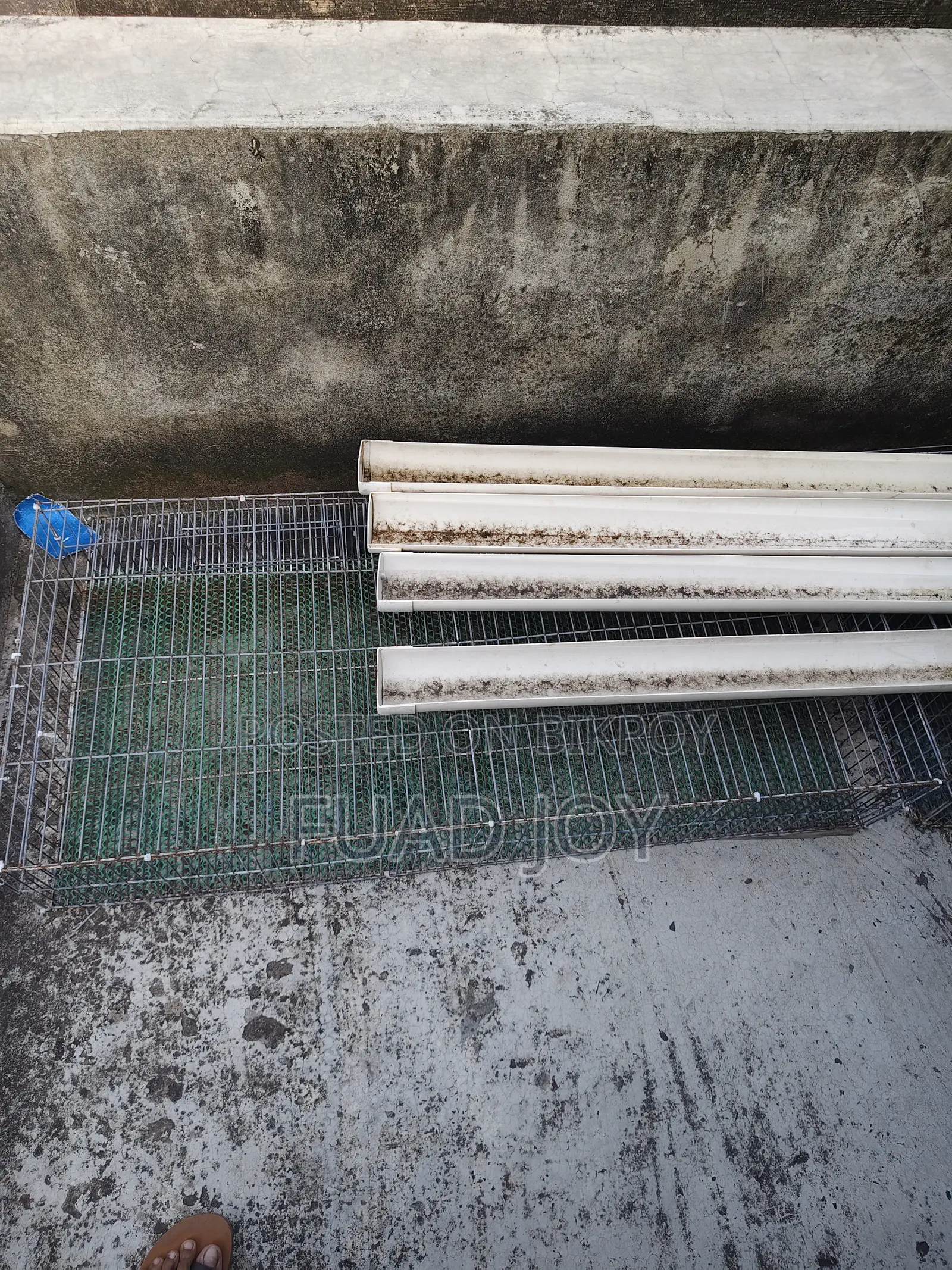 Quail bird cage