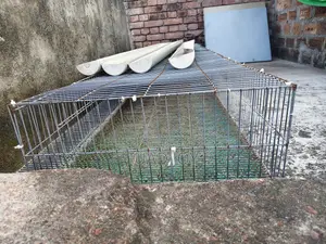 Quail bird cage