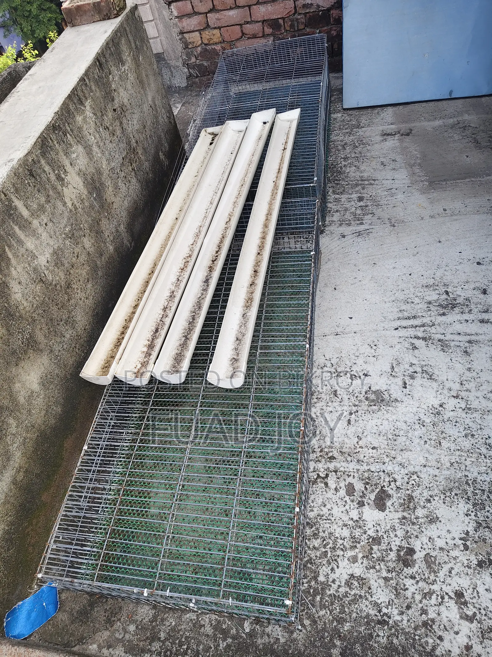 Quail bird cage