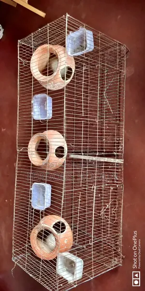 বাজরিগার পাখির খাঁচা