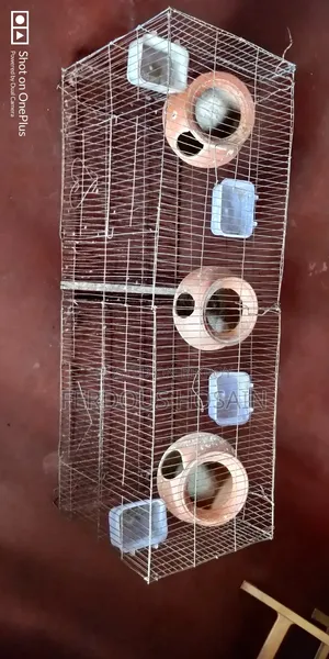 Budgerigar Bird Cage