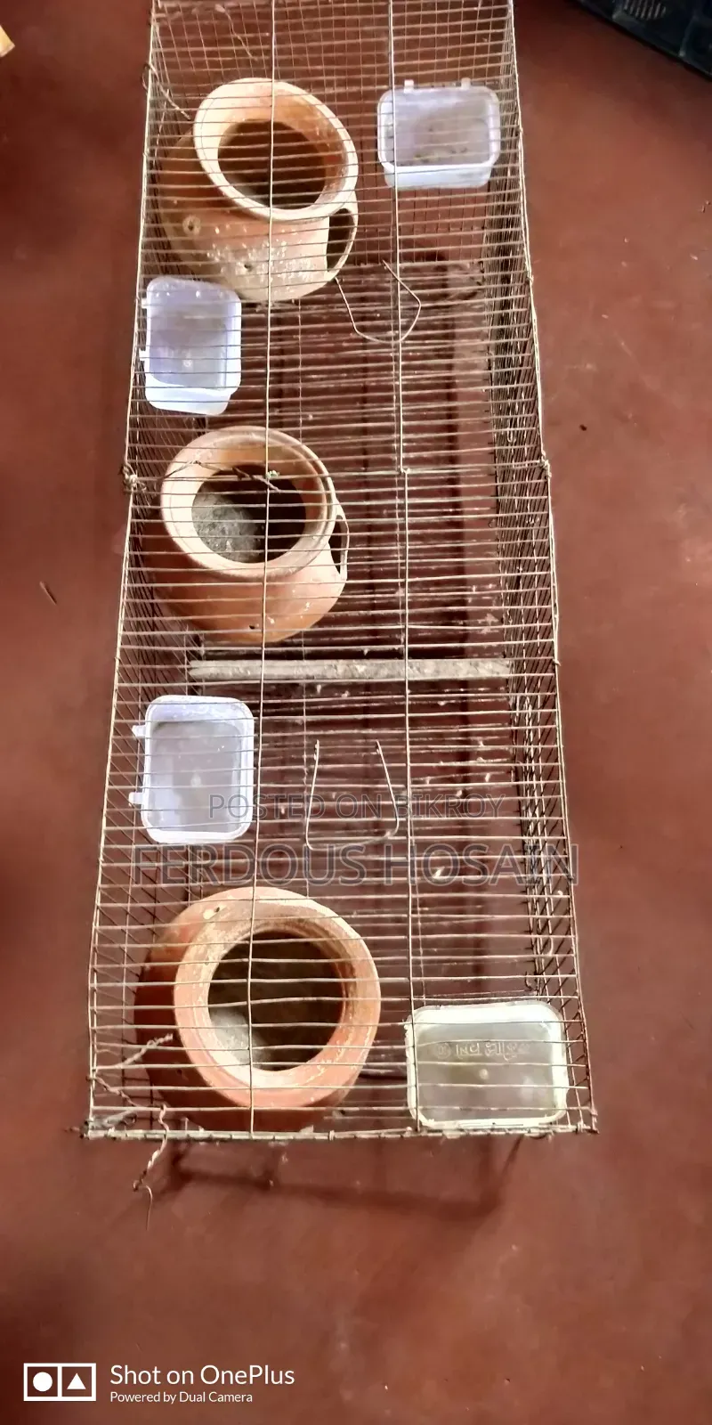 Budgerigar Bird Cage