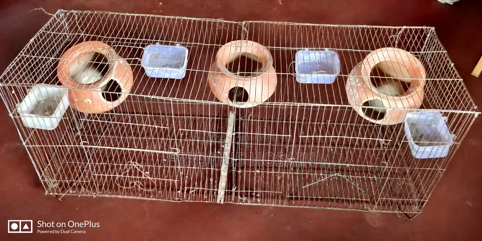 Budgerigar Bird Cage