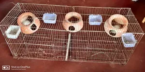 Budgerigar Bird Cage