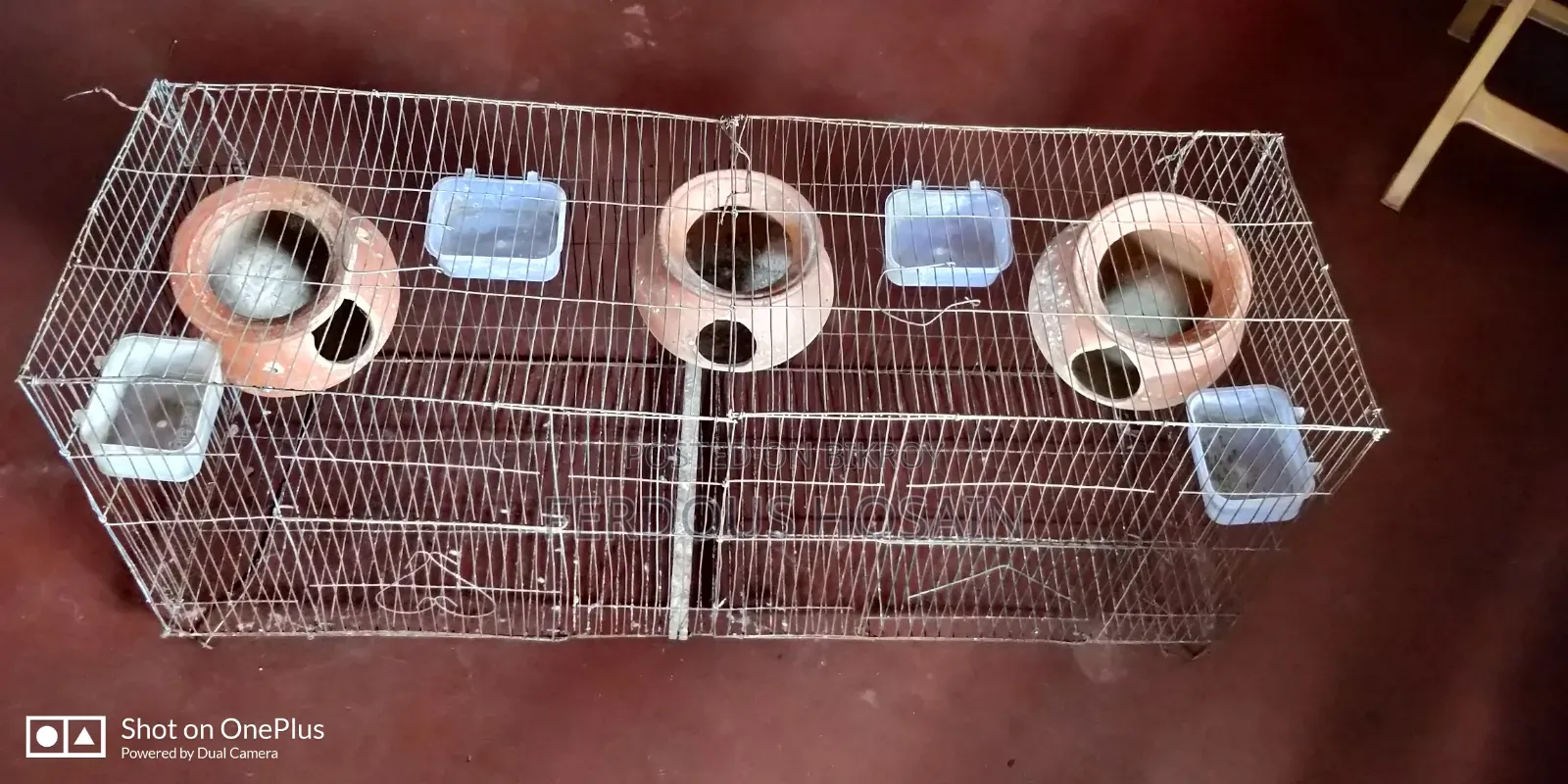 Budgerigar Bird Cage