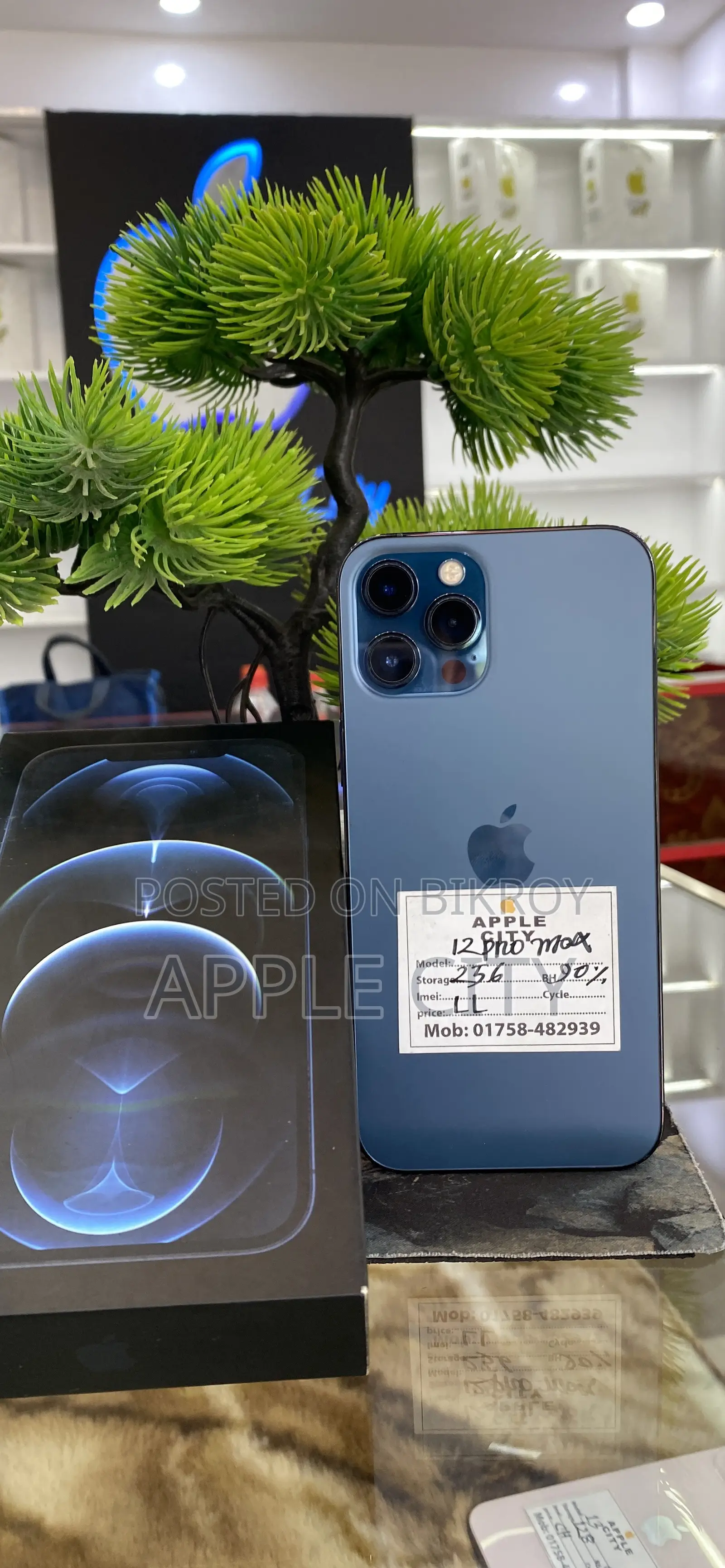 অ্যাপল আইফোন ১২ প্রো ম্যাক্স ২৫৬ জিবি ব্লু