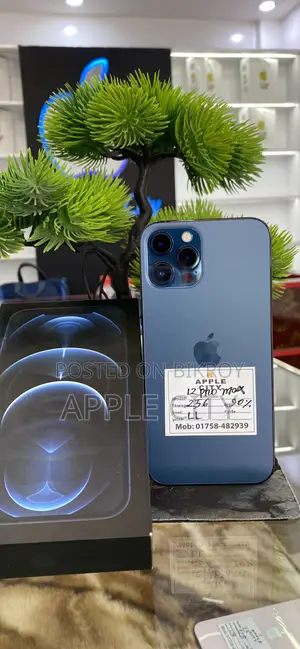 অ্যাপল আইফোন ১২ প্রো ম্যাক্স ২৫৬ জিবি ব্লু