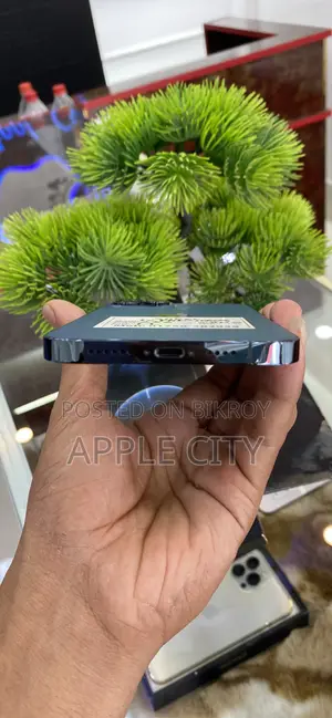 অ্যাপল আইফোন ১২ প্রো ম্যাক্স ২৫৬ জিবি ব্লু