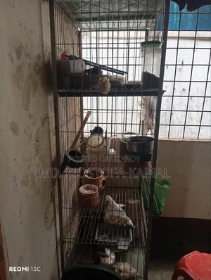 Bird Cage