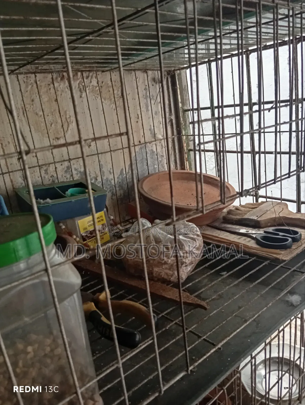 Bird Cage