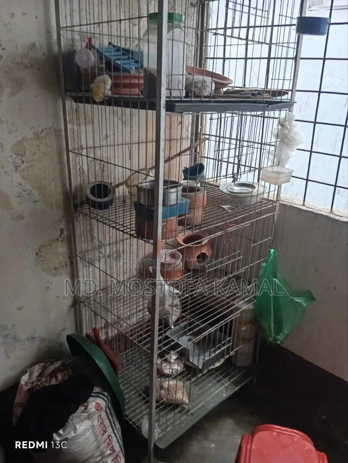 Bird Cage