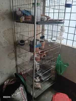 Bird Cage