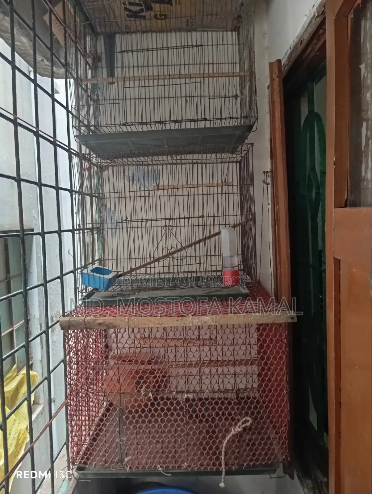 Bird Cage