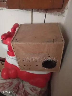 Cockatiel Bird Breeding Box