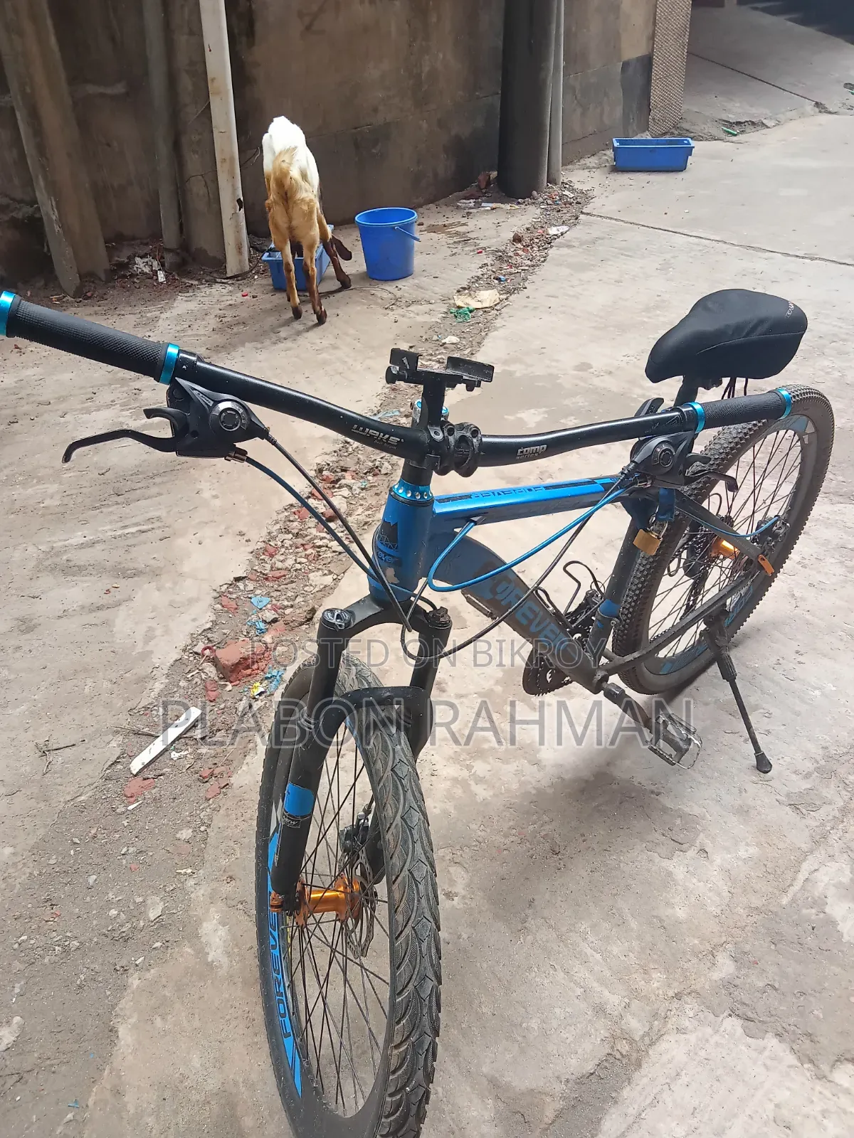 Bicycle for Sale