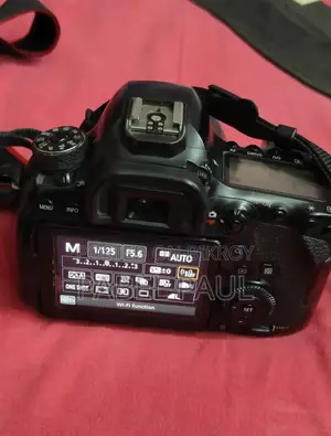 ক্যানন ৬ডি মার্ক ২