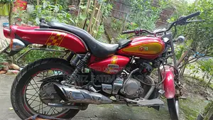 Yamaha 2005 Brown