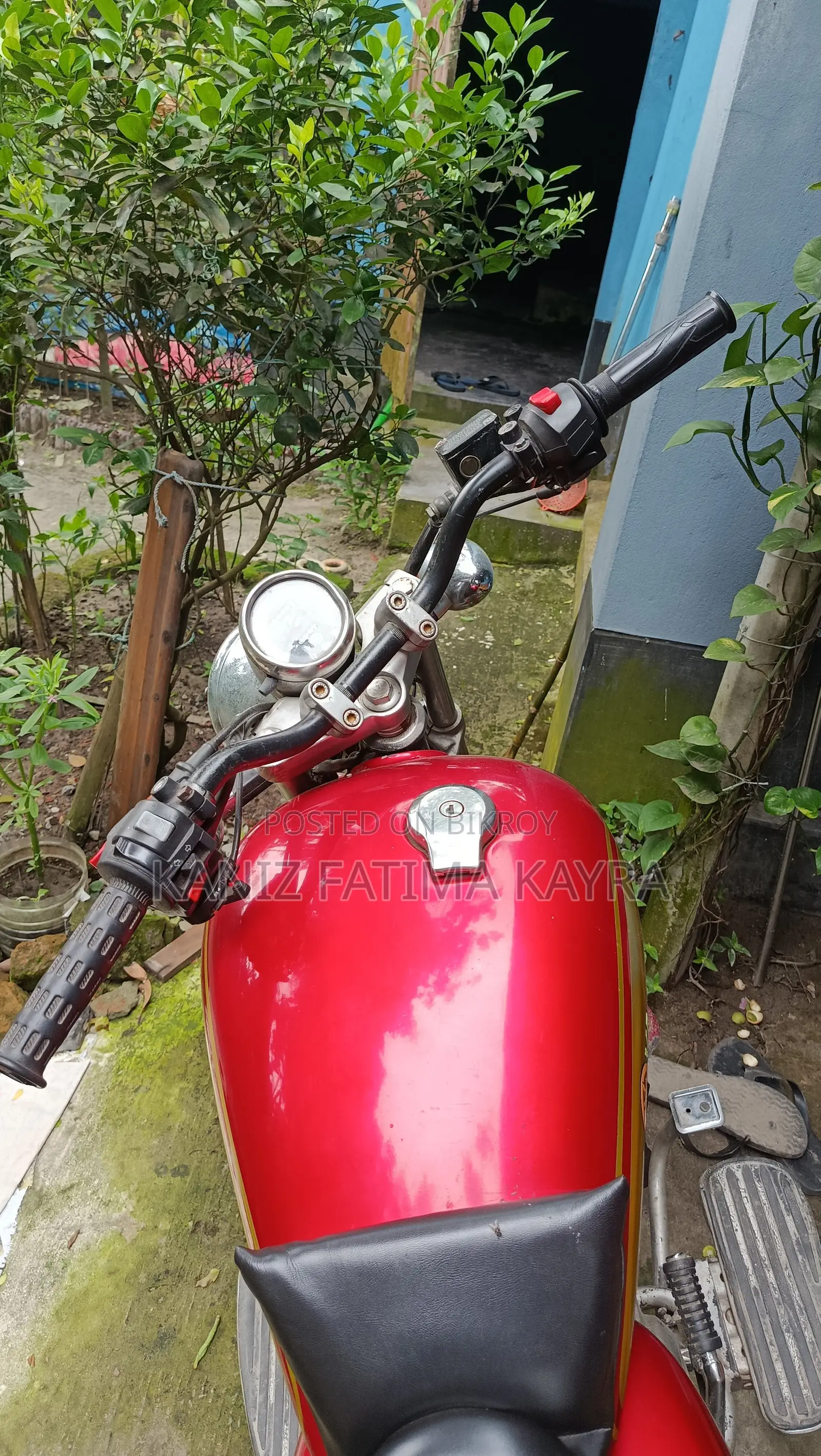 Yamaha 2005 Brown