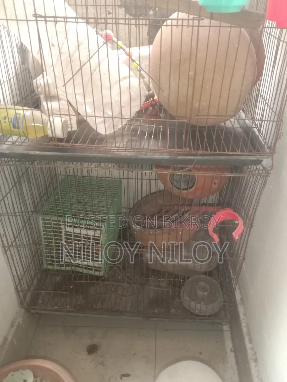 For Sale
