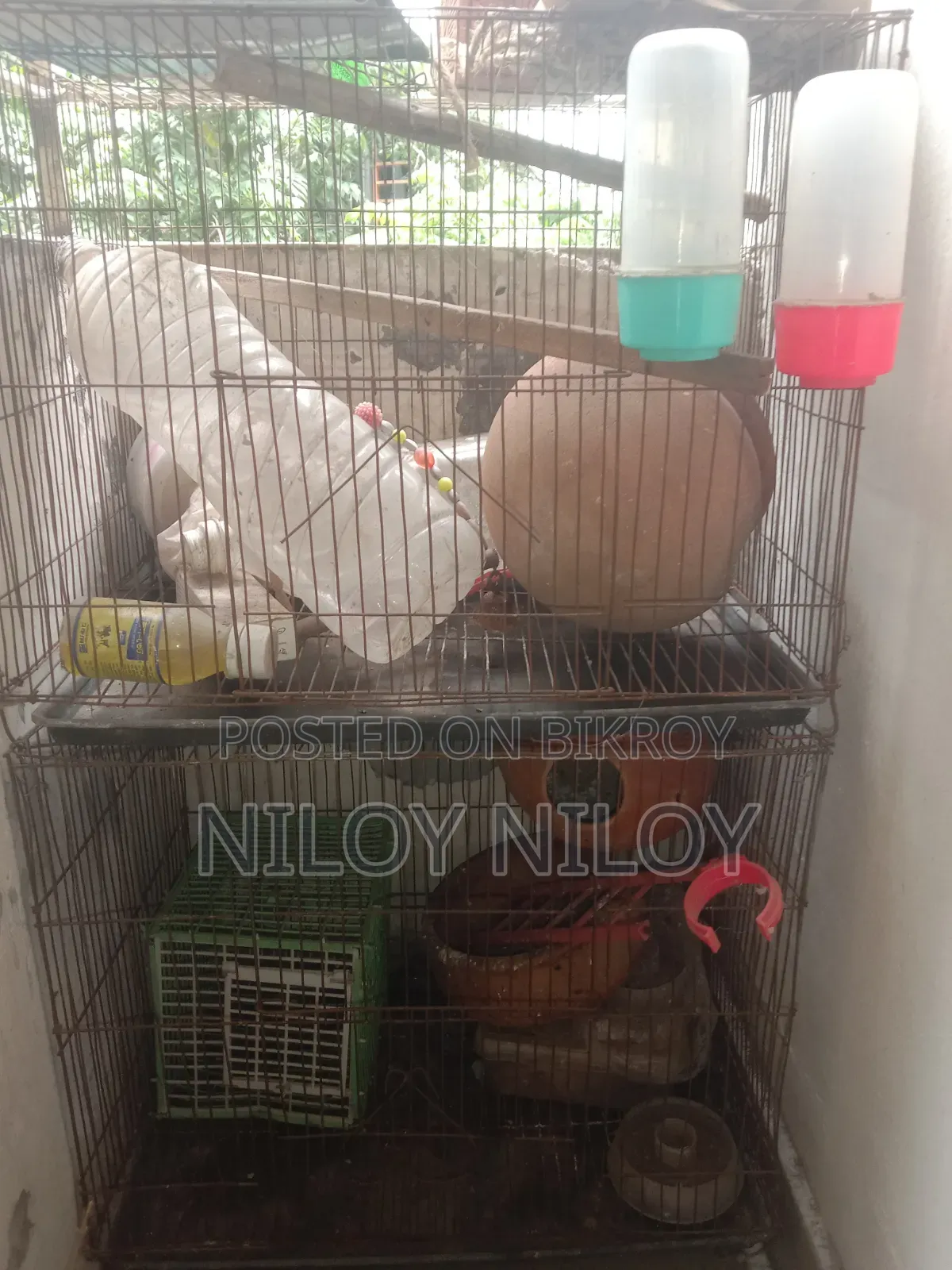 For Sale