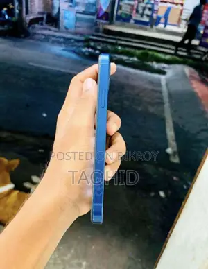 অ্যাপল আইফোন ১২ ১২৮ জিবি নীল