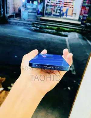 অ্যাপল আইফোন ১২ ১২৮ জিবি নীল