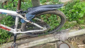 Bicycle for sale