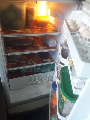 Singer Refrigerator