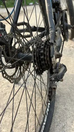 Anaconda Cycle