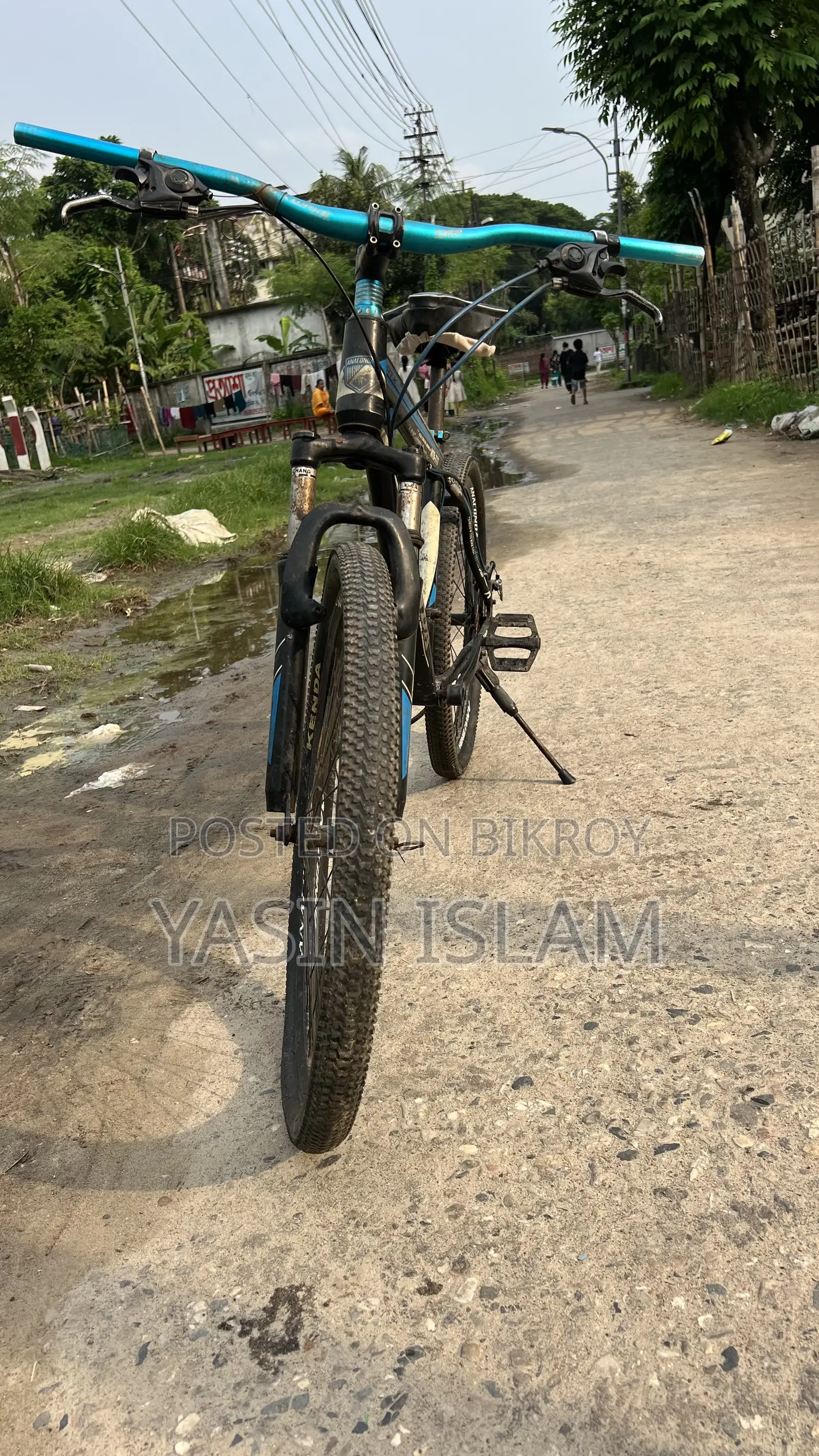 Anaconda Cycle