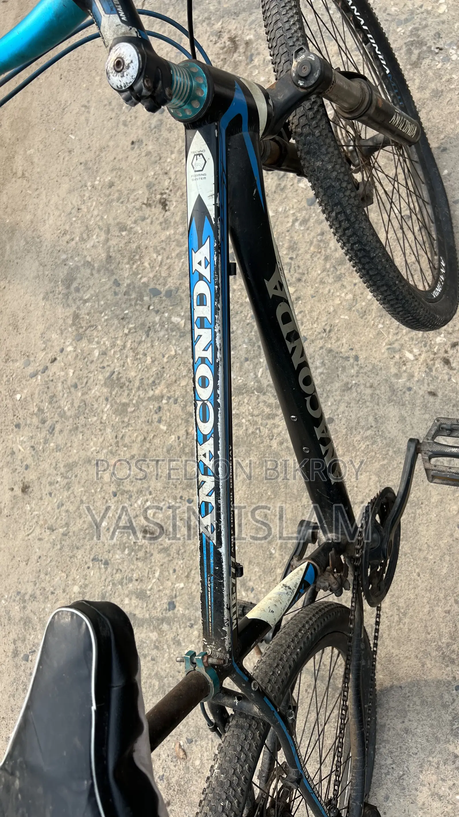 Anaconda Cycle