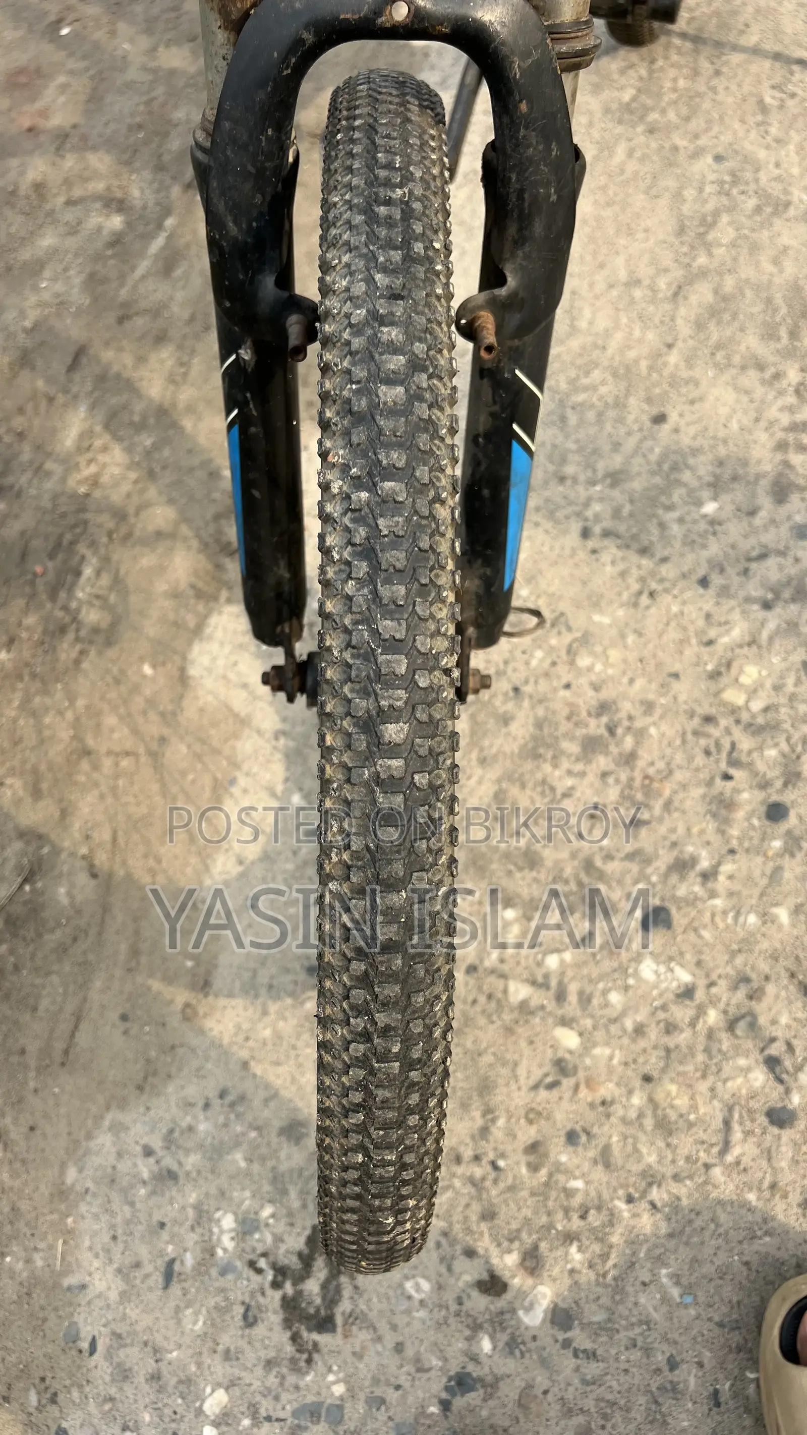 Anaconda Cycle