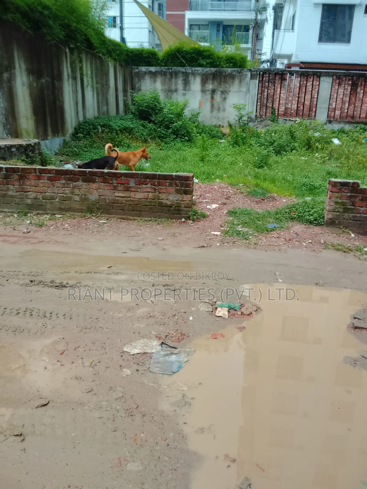 3-bedroom Apartment in Riant East Face, Basundhara for sale