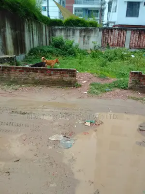 3-bedroom Apartment in Riant East Face, Basundhara for sale