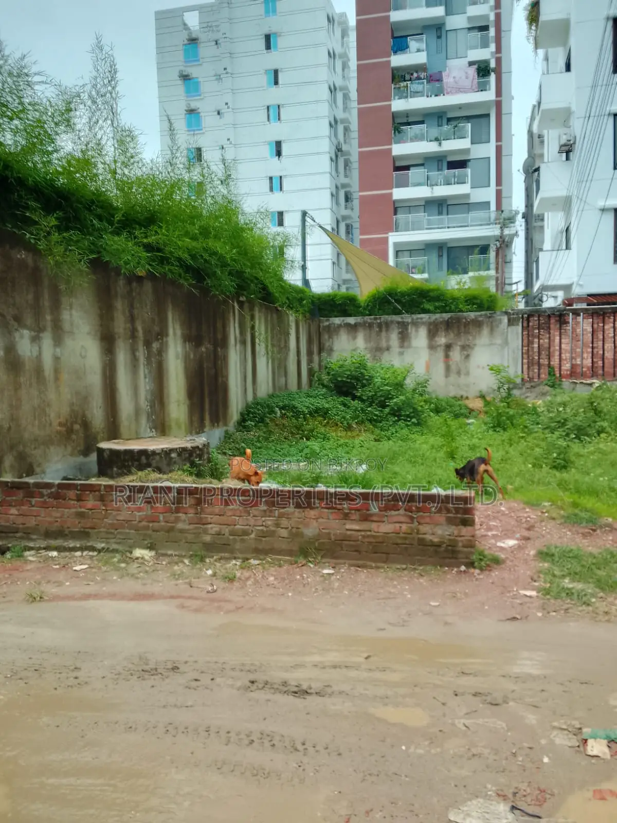 3-bedroom Apartment in Riant East Face, Basundhara for sale