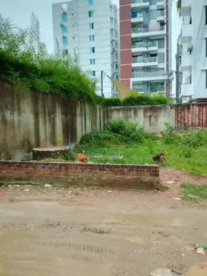 3-bedroom Apartment in Riant East Face, Basundhara for sale