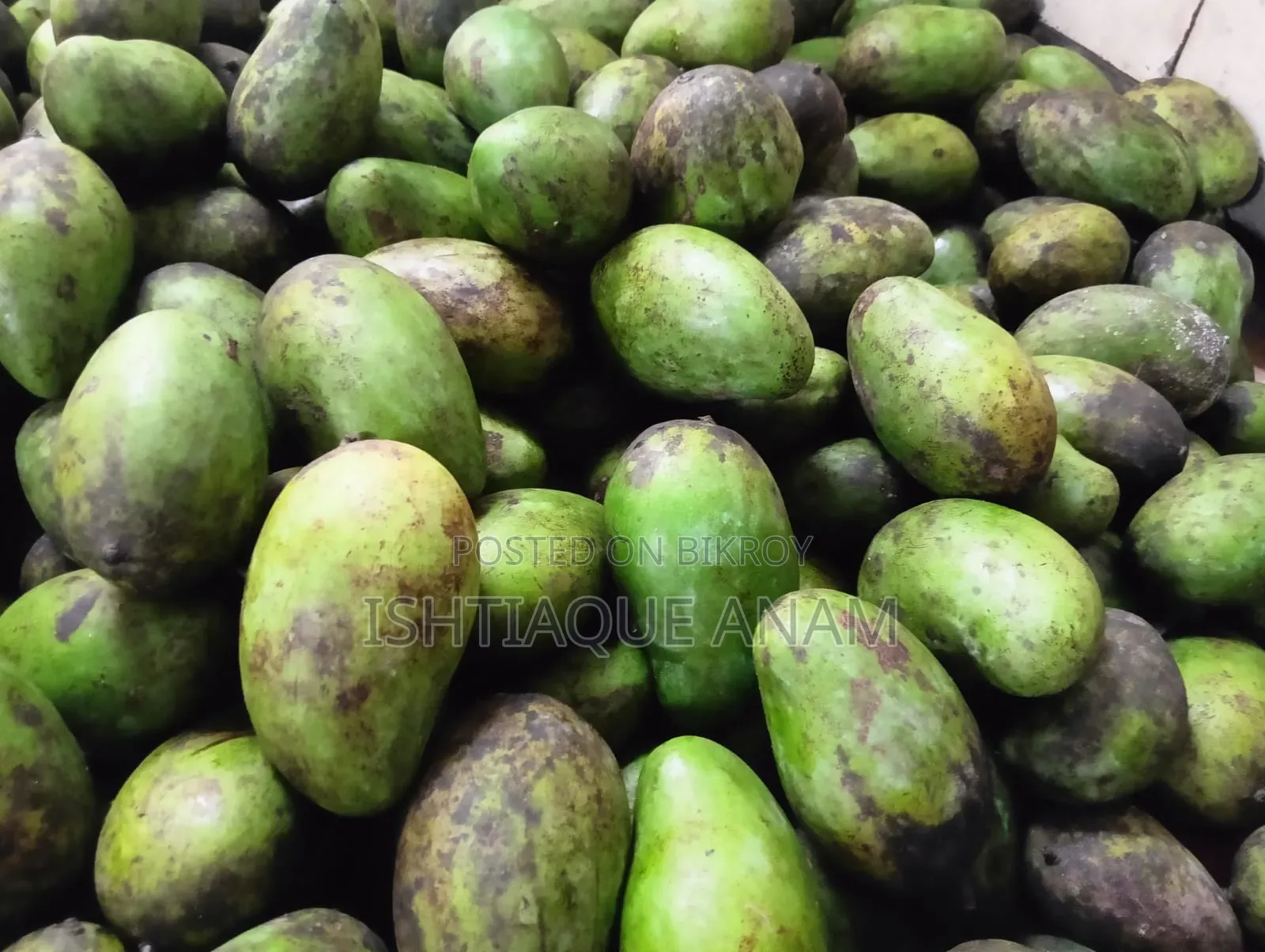 রাজশাহী (আম রুপালি)