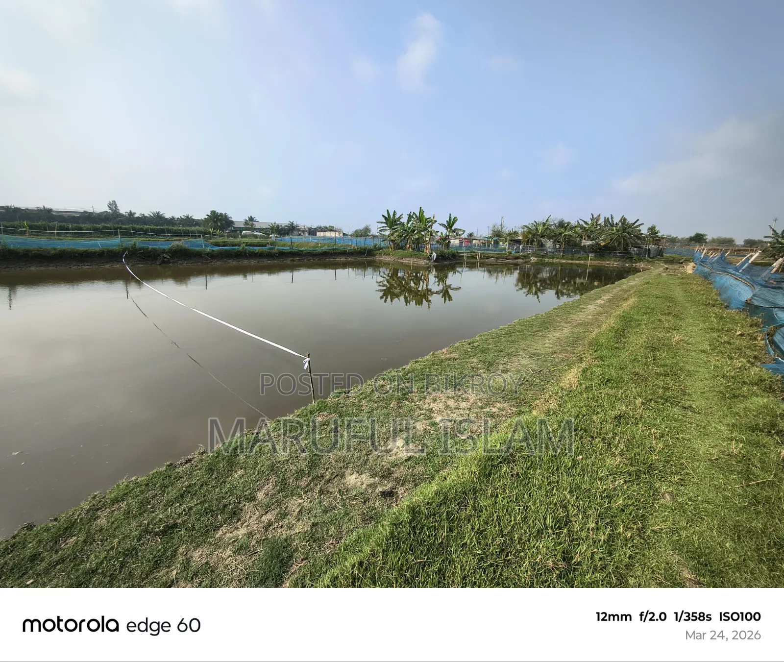 Urgent land for sale